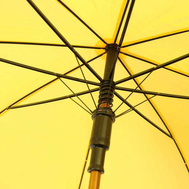 Umbrella Wooden Auto Open