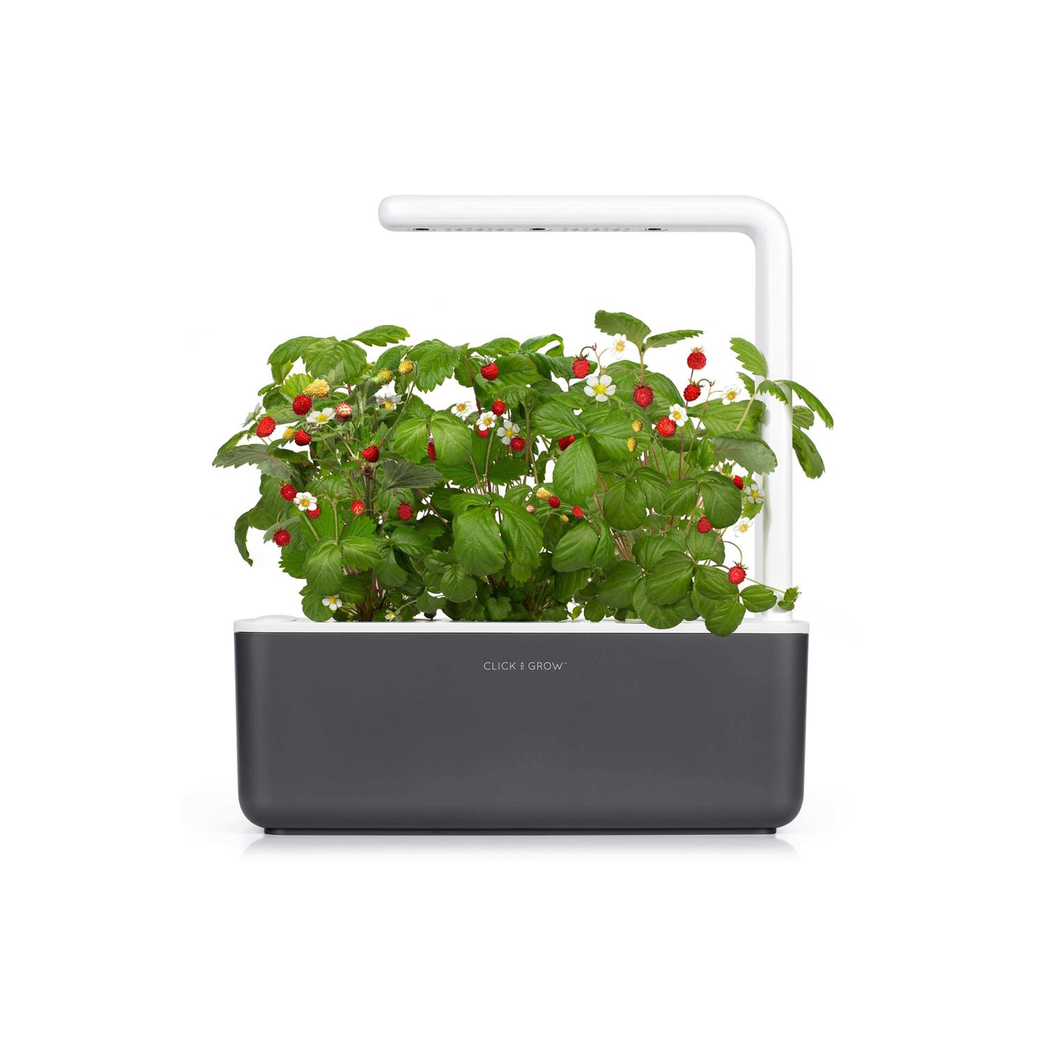 Click Grow Smart Garden 3