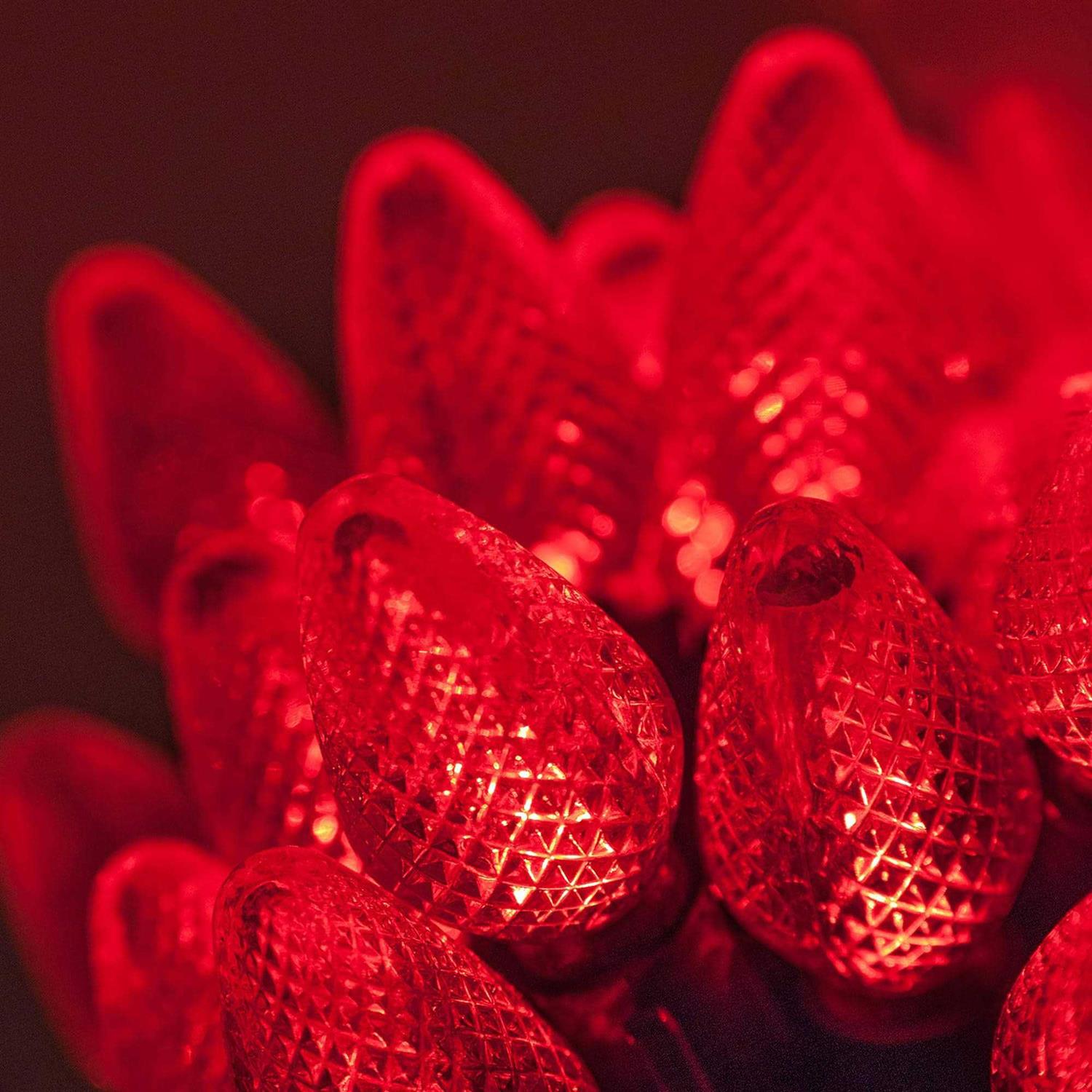 Wintergreen Lighting 25 LED Christmas Lights