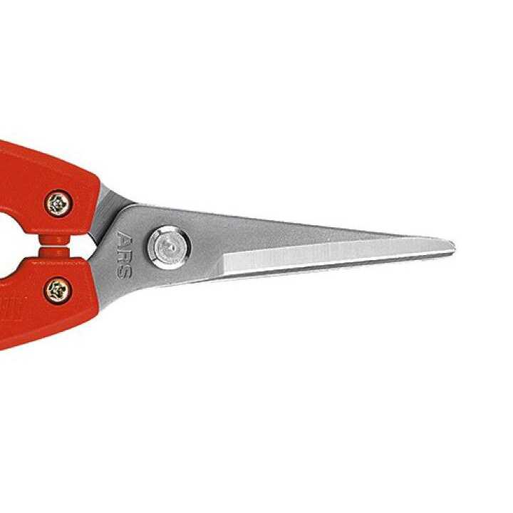 ARS Needle Nose Pruner HP-SE45