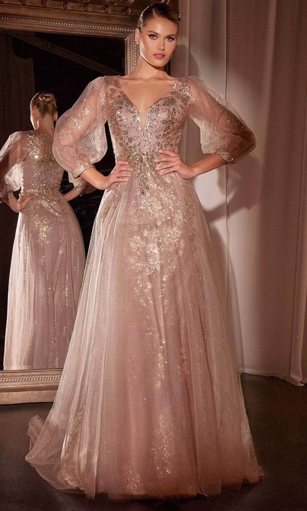 Long Sleeve Lace Applique Gown