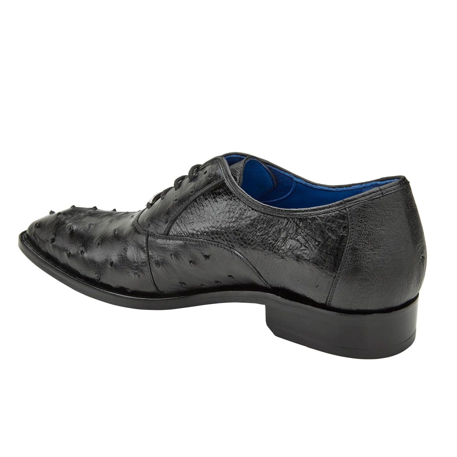 Men’s Belvedere Orlando Ostrich Quill Plain Toe Dress Shoe in Black