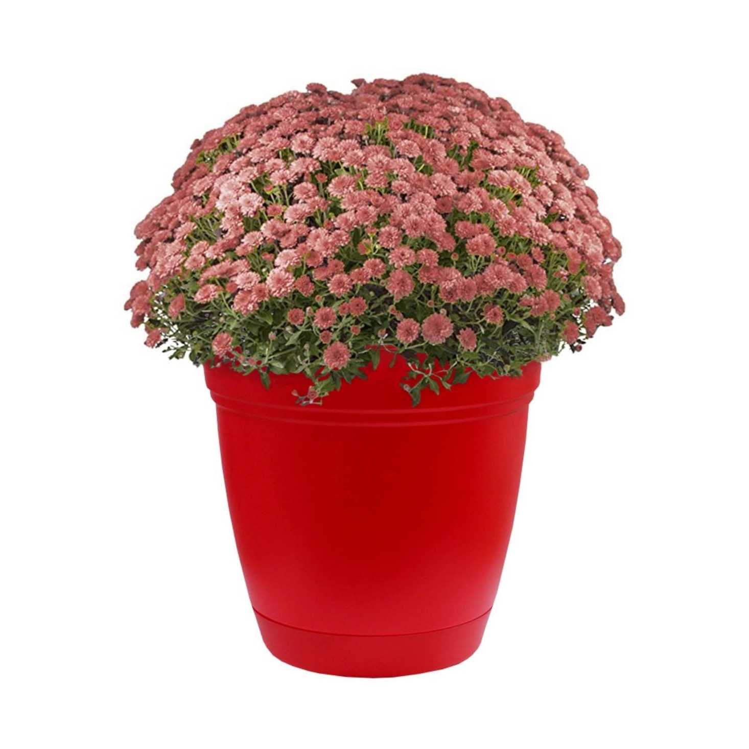 The HC Companies Eclipse Round Indoor/Outdoor Plastic Flower Pot Planter