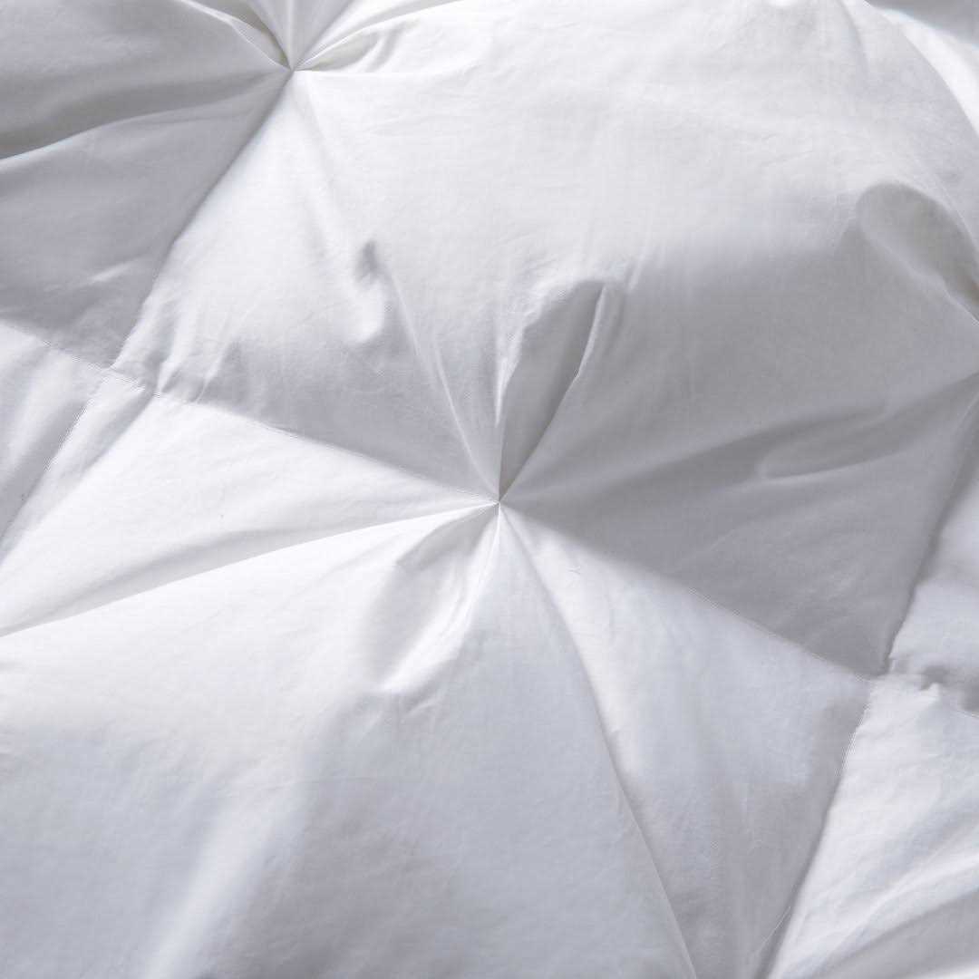 Alwyn Home 800 Fill Power Winter Goose Down Comforter