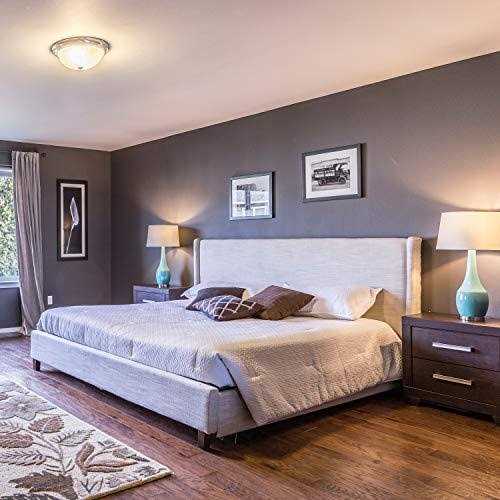 Basics Equivalent Non-Dimmable 10,000 Hour Lifetime