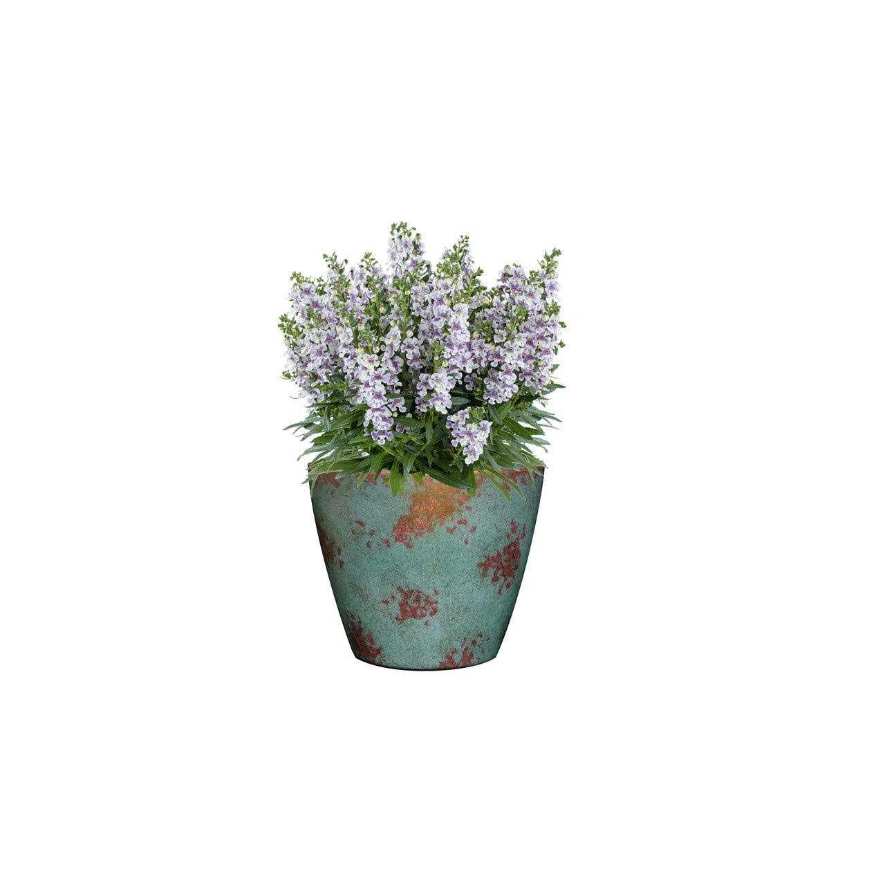 Classic Home And Garden 807-378R Vogue Planter