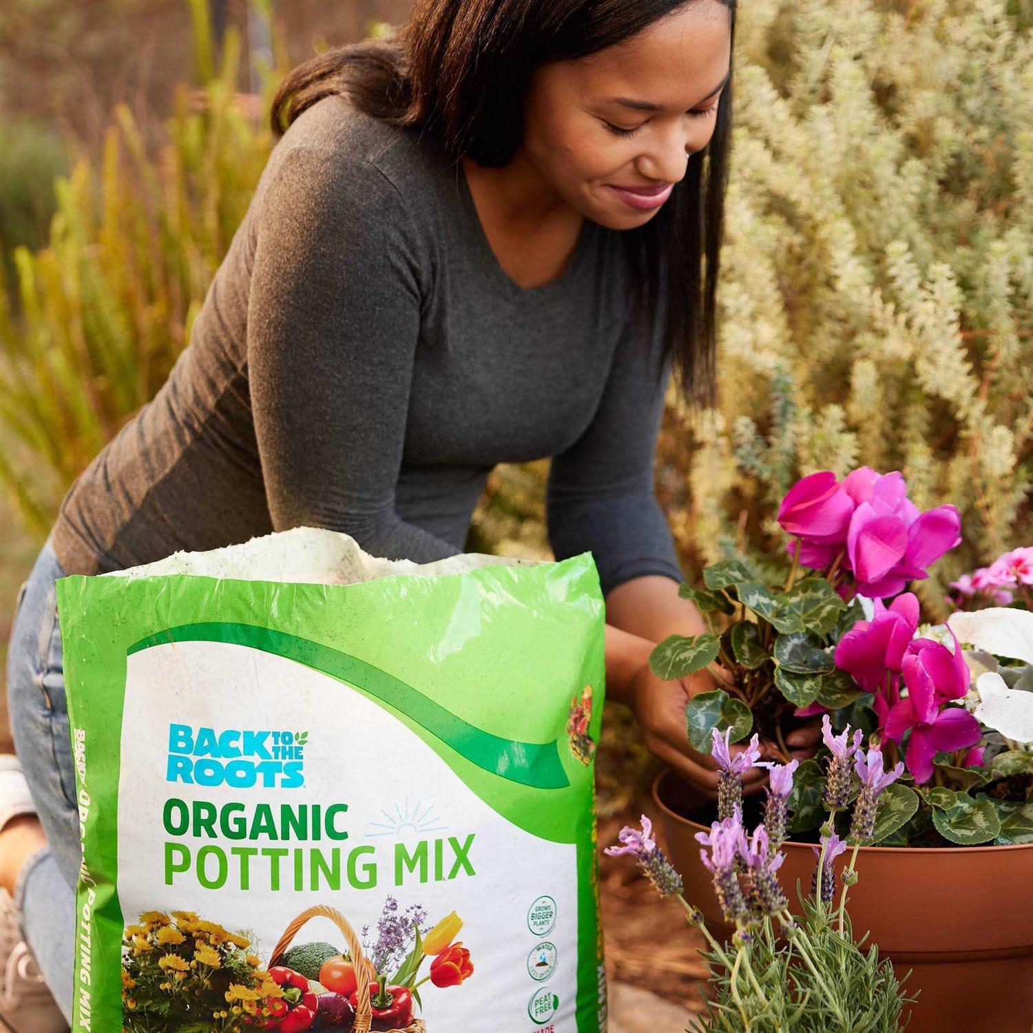 Back to the Roots Organic Potting Mix All Purpose
