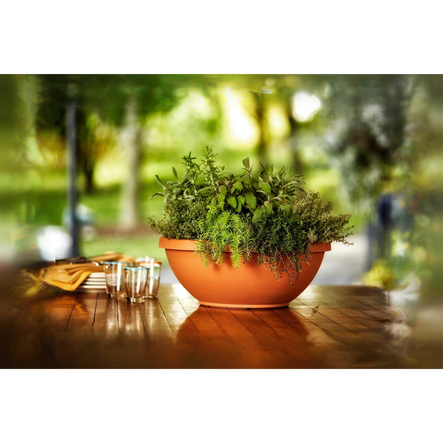 Bloem Terra Bowl Planter