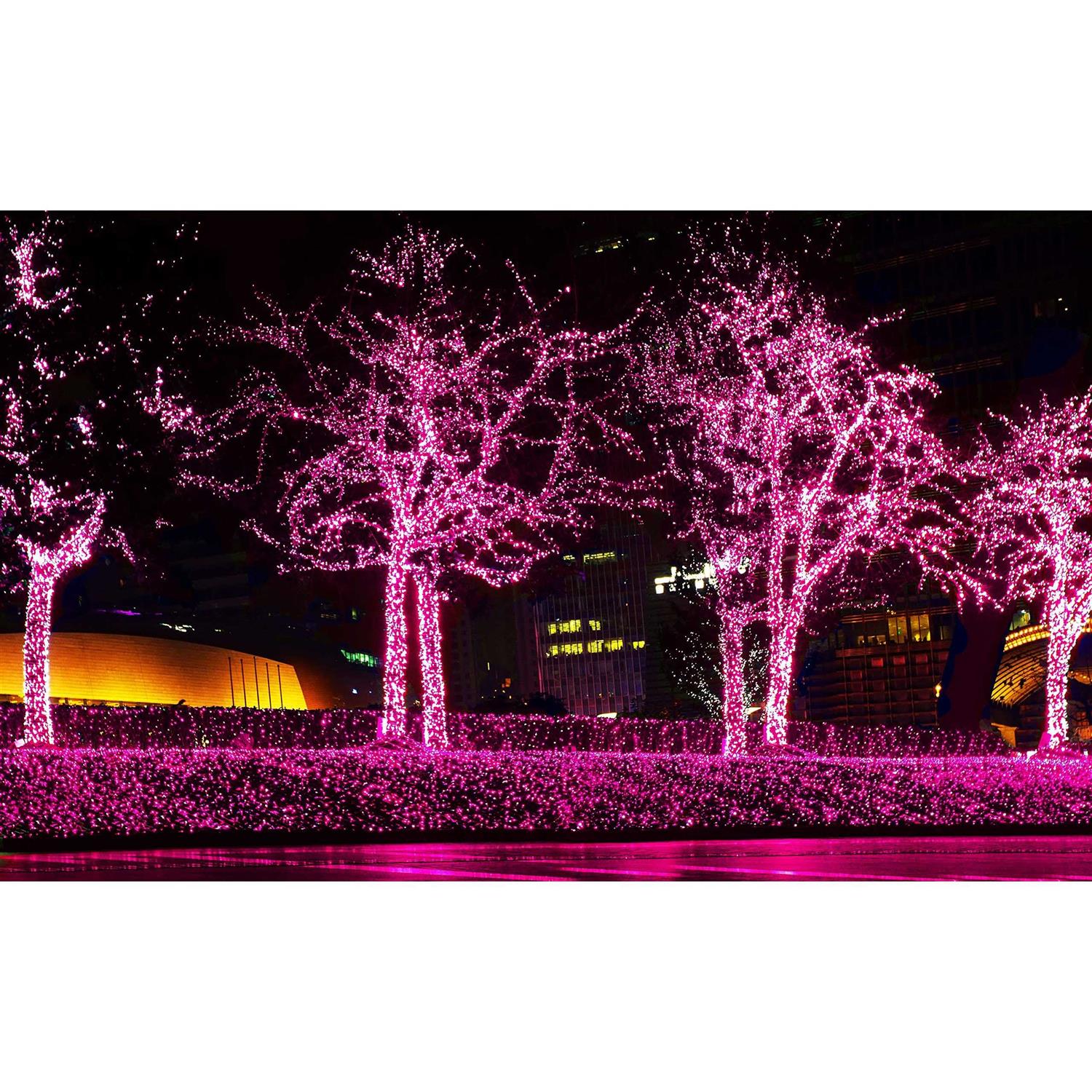 612 Vermont Christmas Lights on a White Wire String, UL Approved Indoor and Outdoor Use