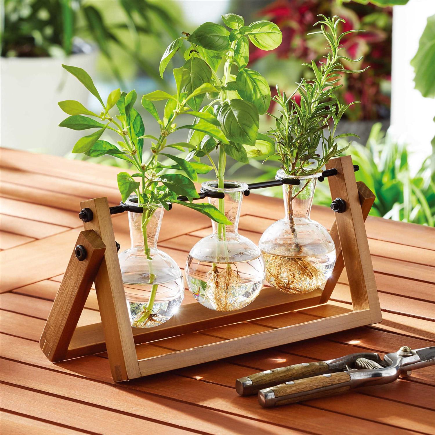 Better Homes & Gardens Glass Propagation Station Planter