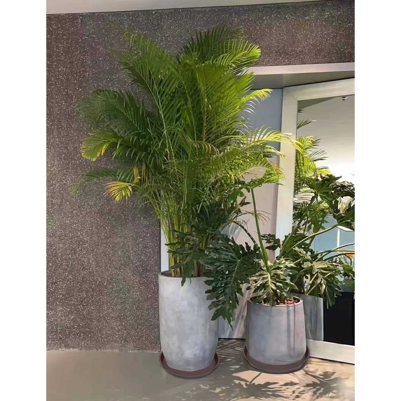 Angde 6 Pack Plant Saucer Plant Round