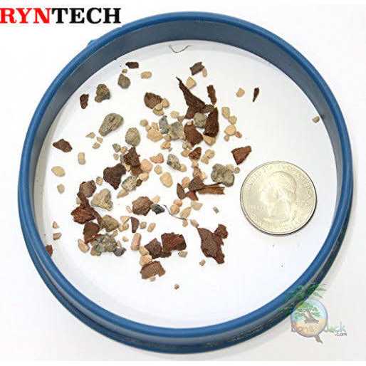 Bonsai Jack Succulent and Cactus Soil Jacks Gritty Mix