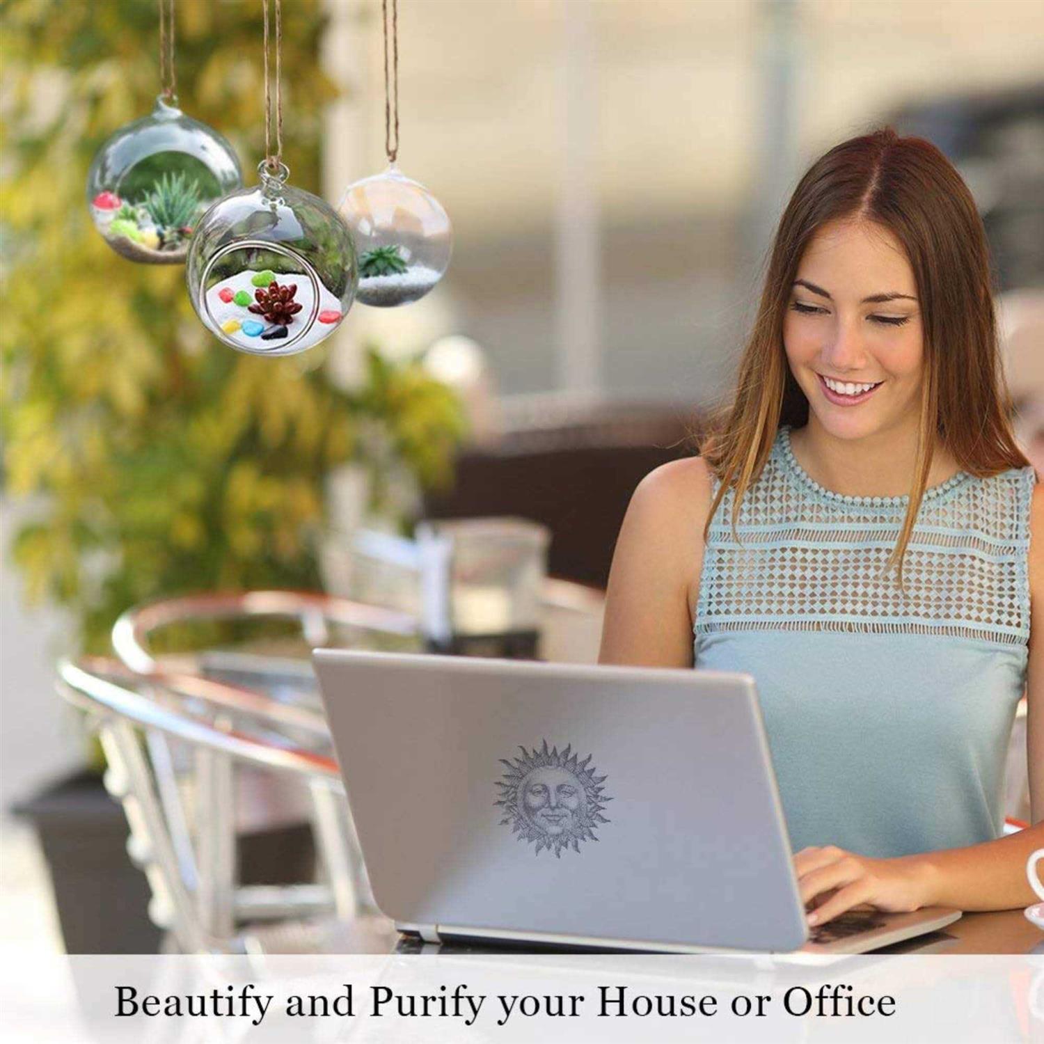 SunGrow 3 Hanging Glass Terrariums by Spherical Air Plant Orb