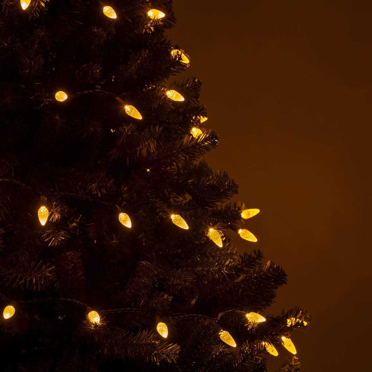 Wintergreen Lighting 25 LED Christmas Lights