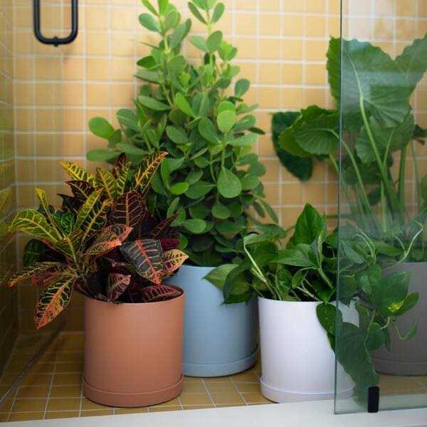 Bloem Mathers Plastic Planter Saucer Tray