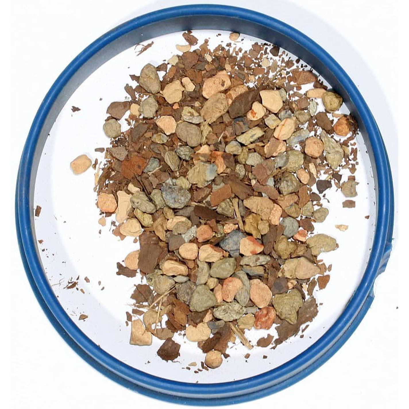 Bonsai Jack Succulent and Cactus Soil Jacks Gritty Mix