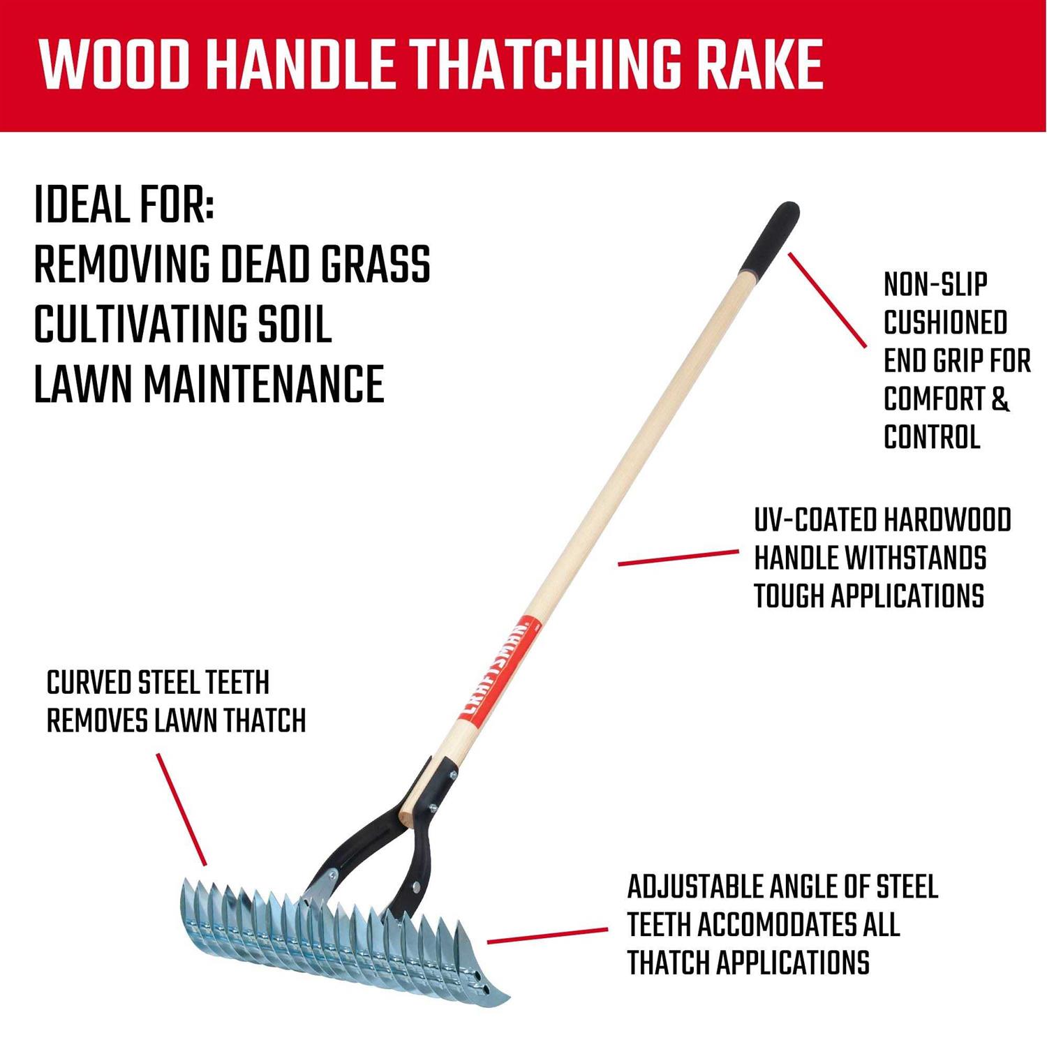 Craftsman 15-in Thatching Rake CMXMLBA2200