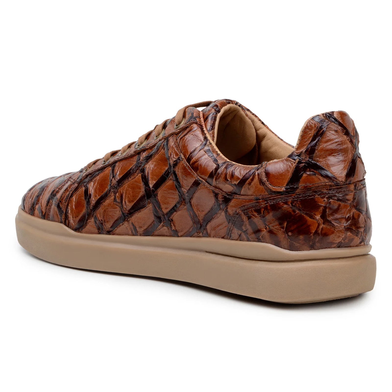 Men’s Belvedere Kingstone Genuine Pirarucu Dress Sneaker in Almond Tan