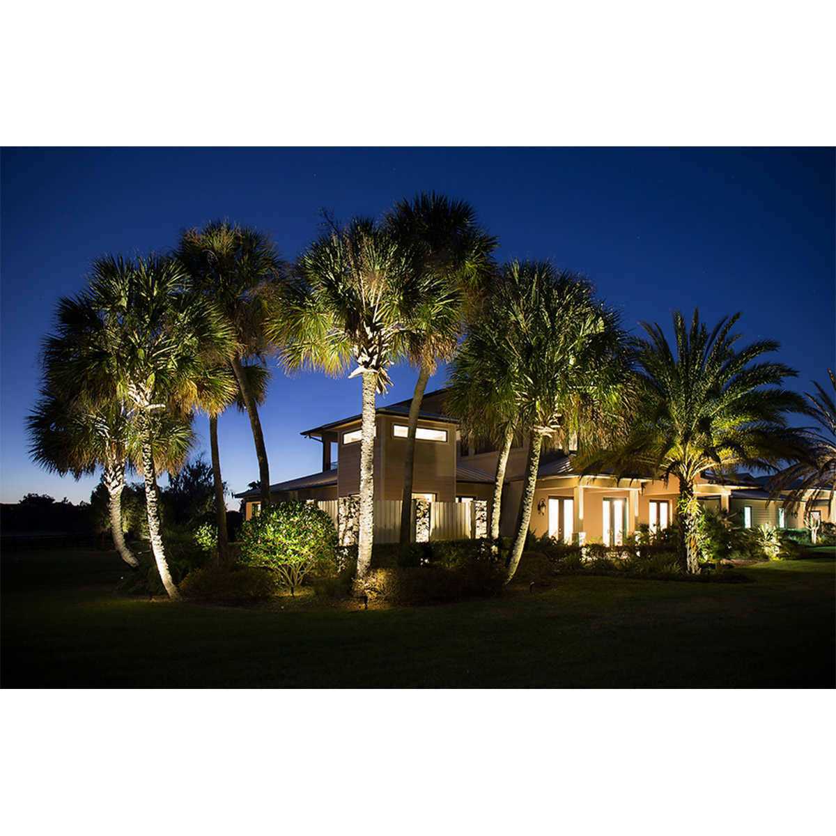 VOLT Budget-Friendly spotlight Kit