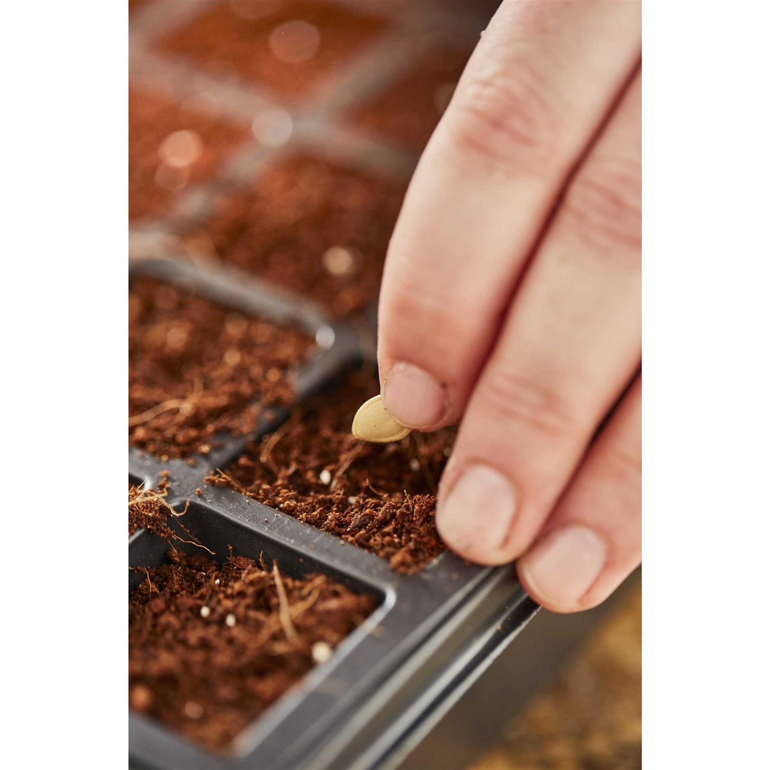 Burpee 8 Qt. Concentrated Seed Starting Mix