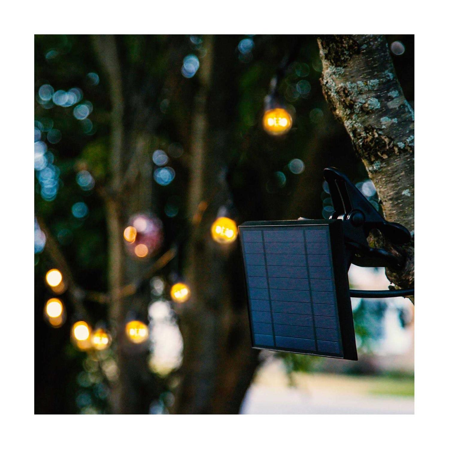 Brightech Ambience Pro LED Outdoor String Lights