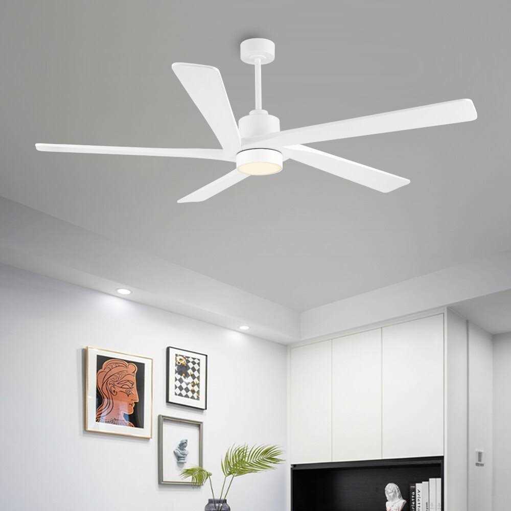 WINGBO DC Ceiling Fan with Lights and Remote Control