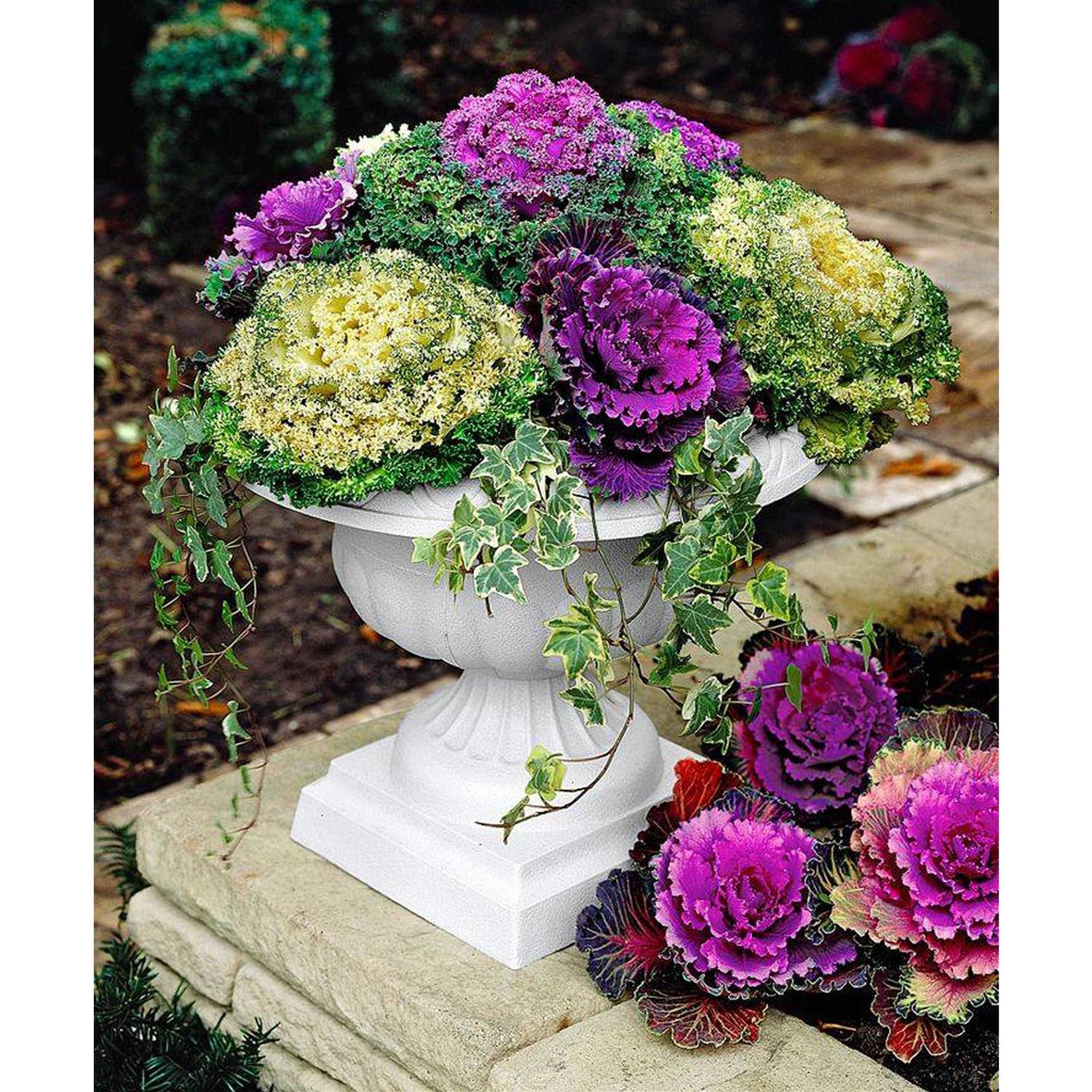 Bloem Grecian Urn Planter