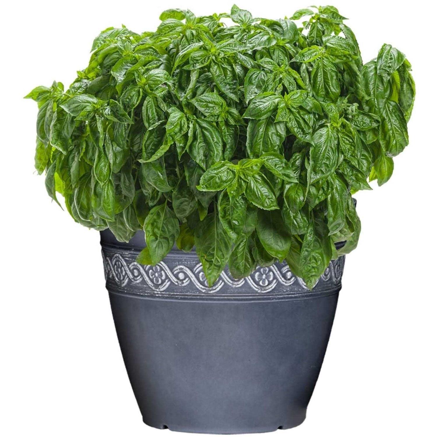 Classic Home and Garden Corinthian Resin Flower Pot Planter