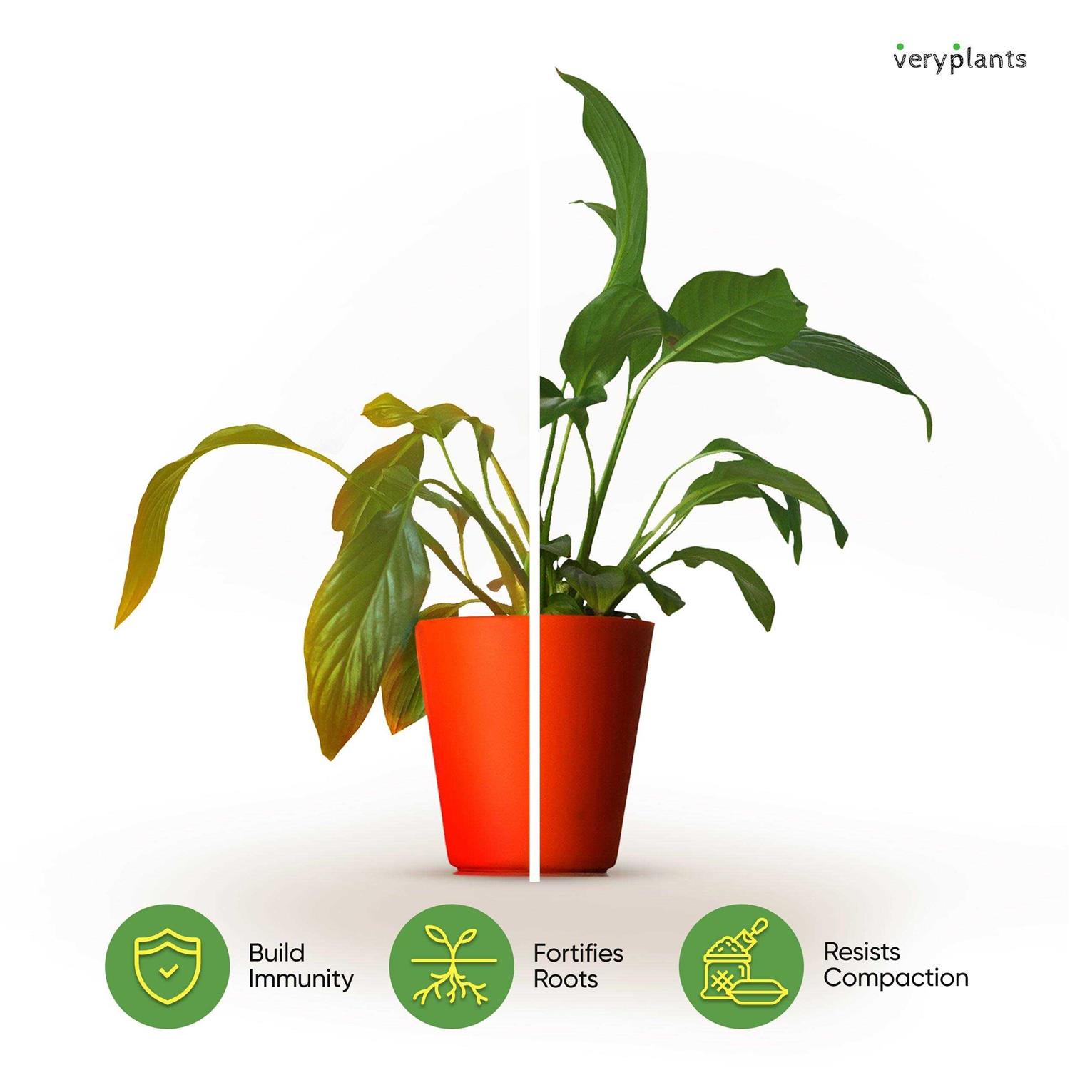 VERYPLANTS Molly’s Aroid Mix Premium Tropical Plant Soilless Potting Mix