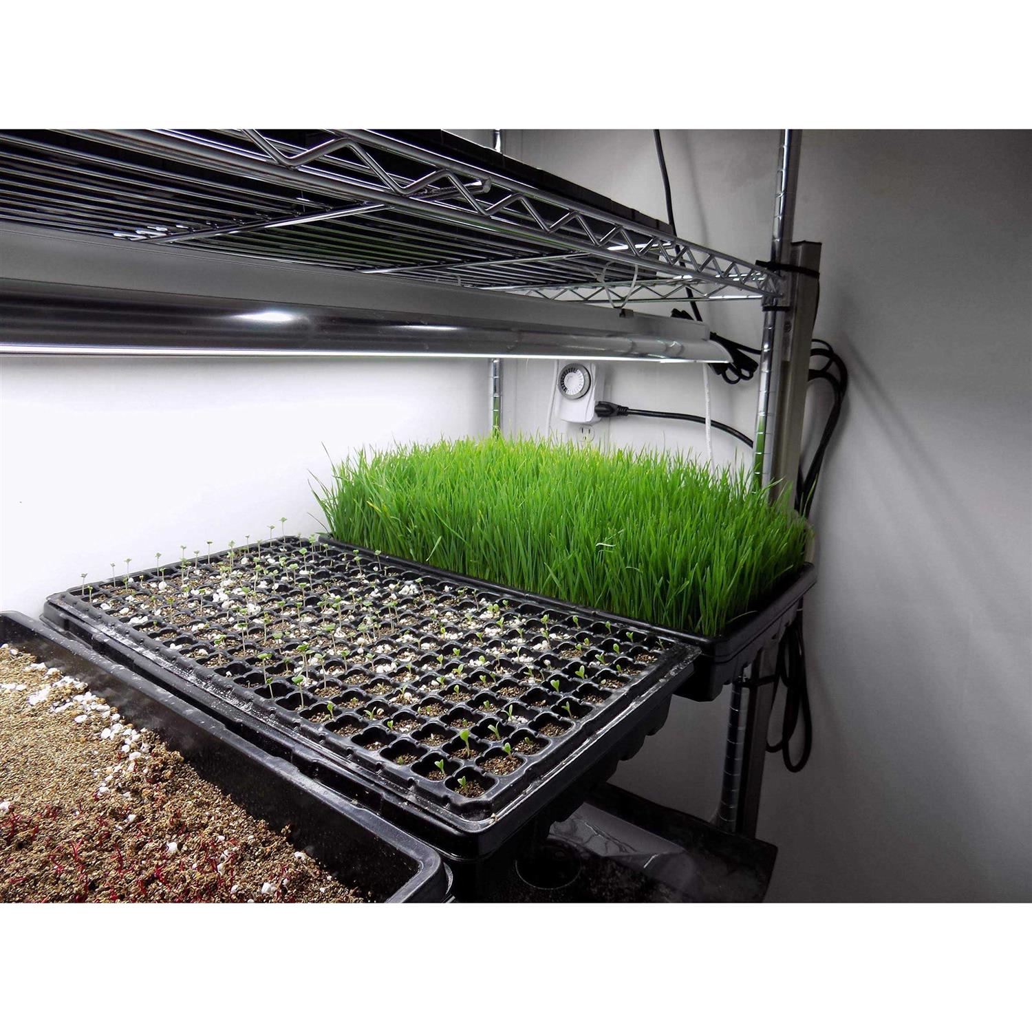 Bootstrap Farmer 1020 Trays Extra Strength No Holes