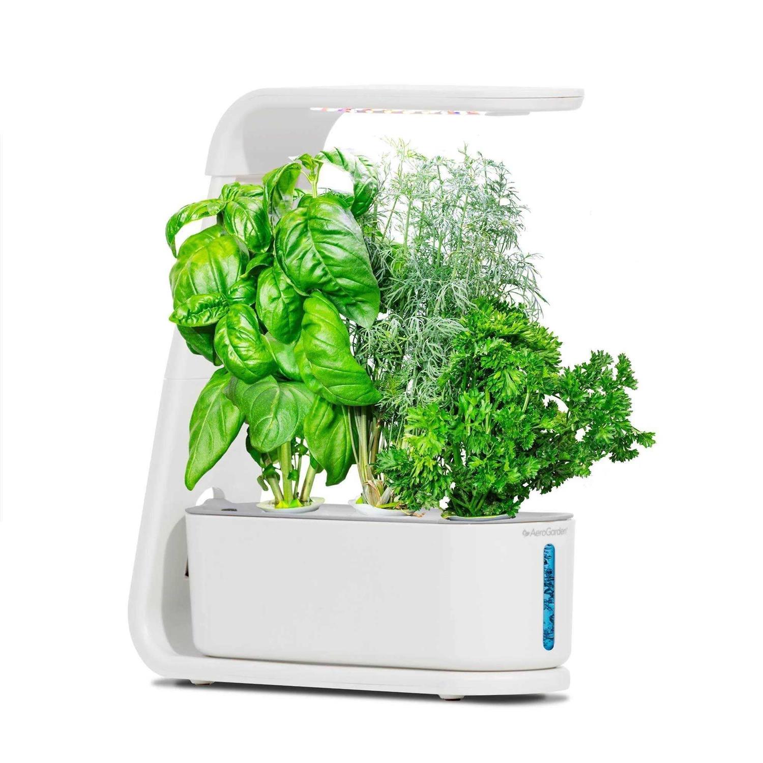 AeroGarden Sprout with Gourmet Herbs Seed Pod Kit