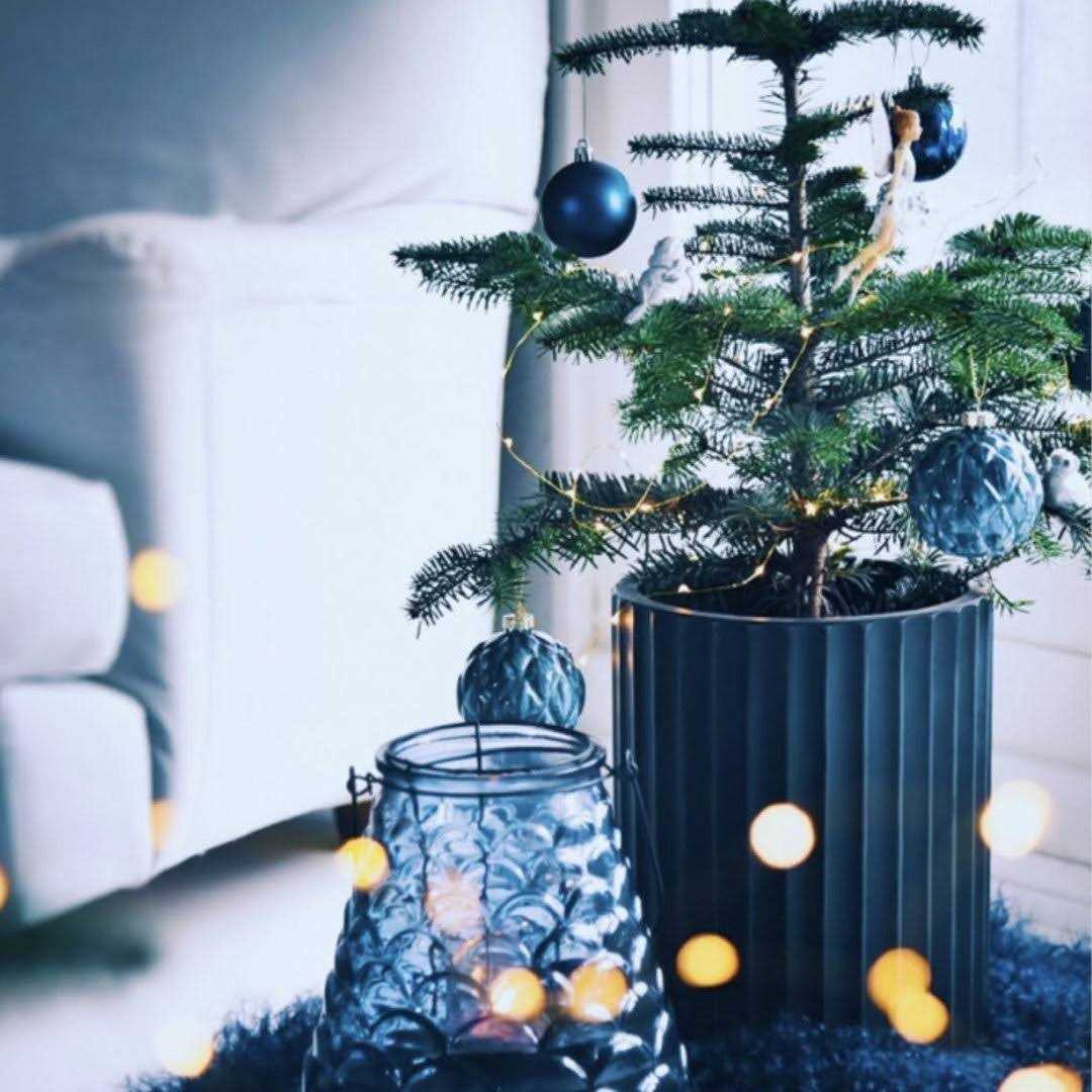 Allenville Clay Pot Planter Birch Lane