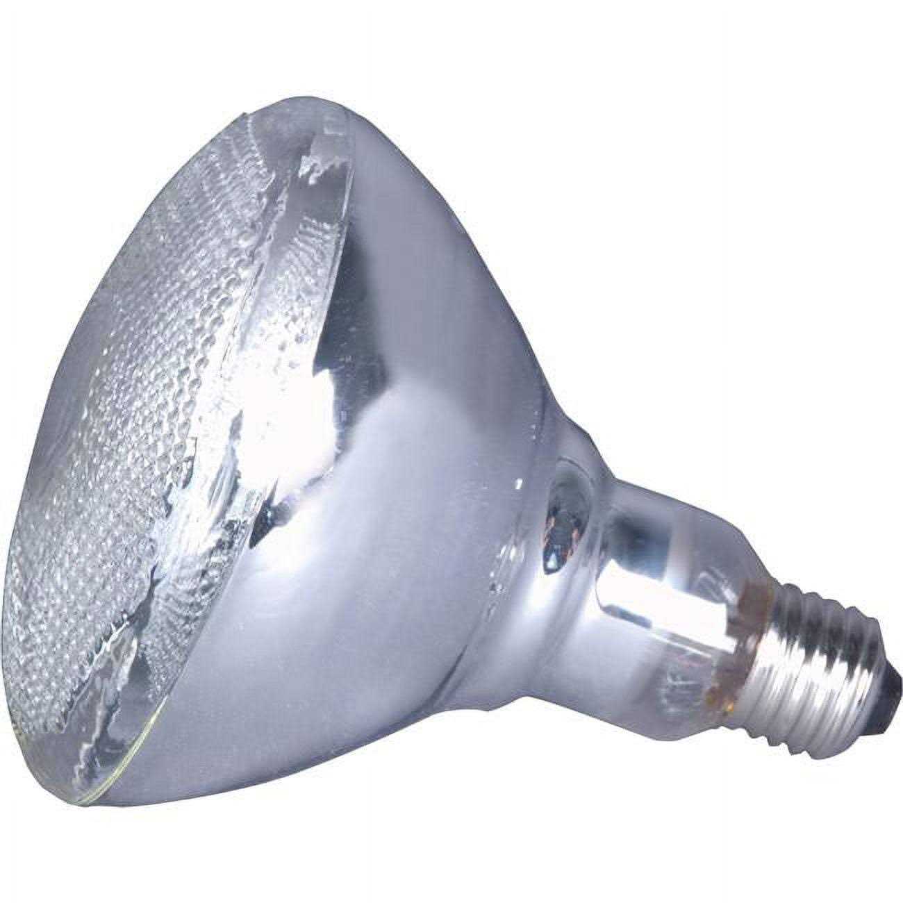 American DJ LL PAR38 150W Lamp for Par-38