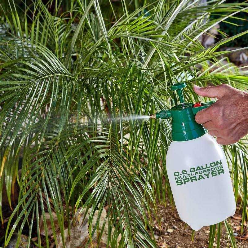 0.5 Gallon Multipurpose Sprayer