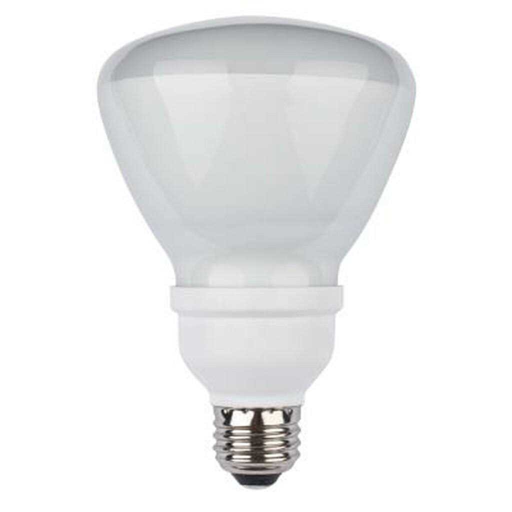 Westinghouse 3797000 Floodlamp