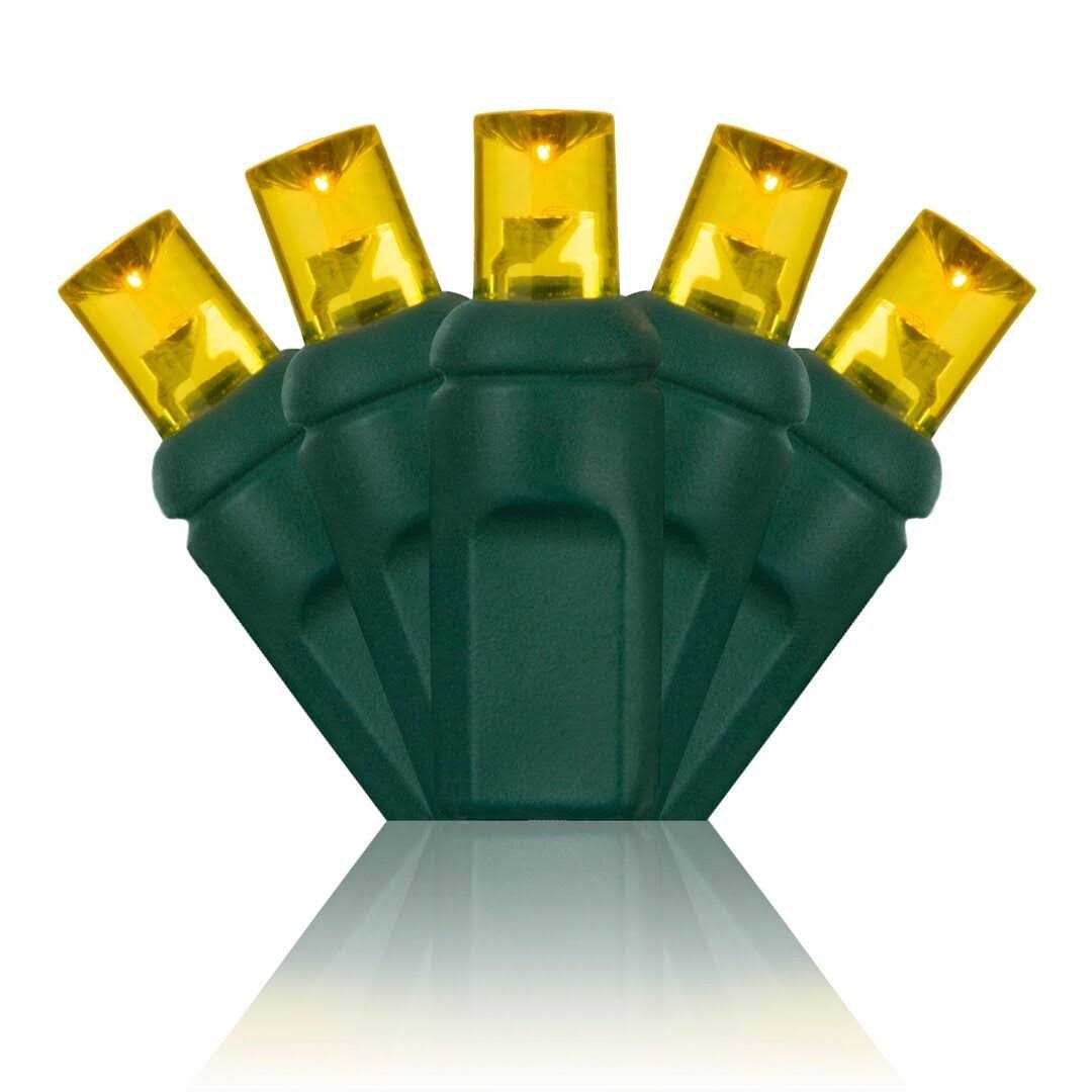 Wintergreen Lighting 70 Christmas LED Lights