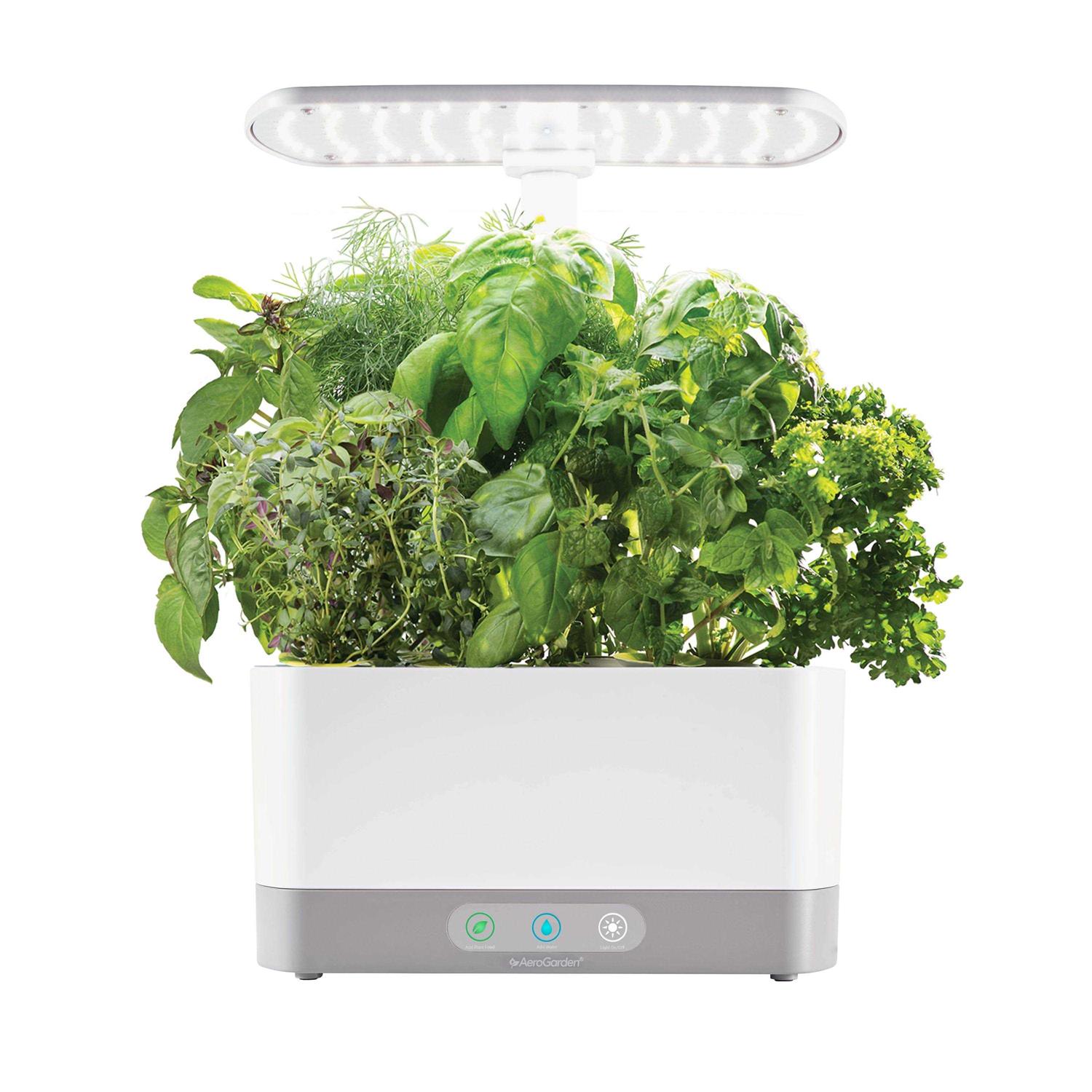 AeroGarden Harvest XL with Gourmet Herbs Seed Pod Kit