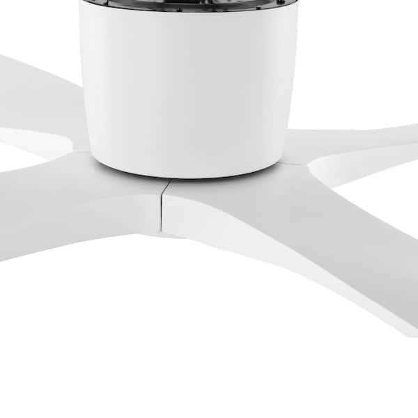 WINGBO Ceiling Fan