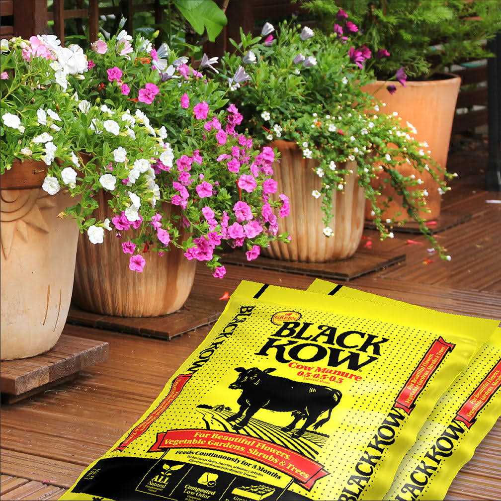 Black Kow Cow Manure