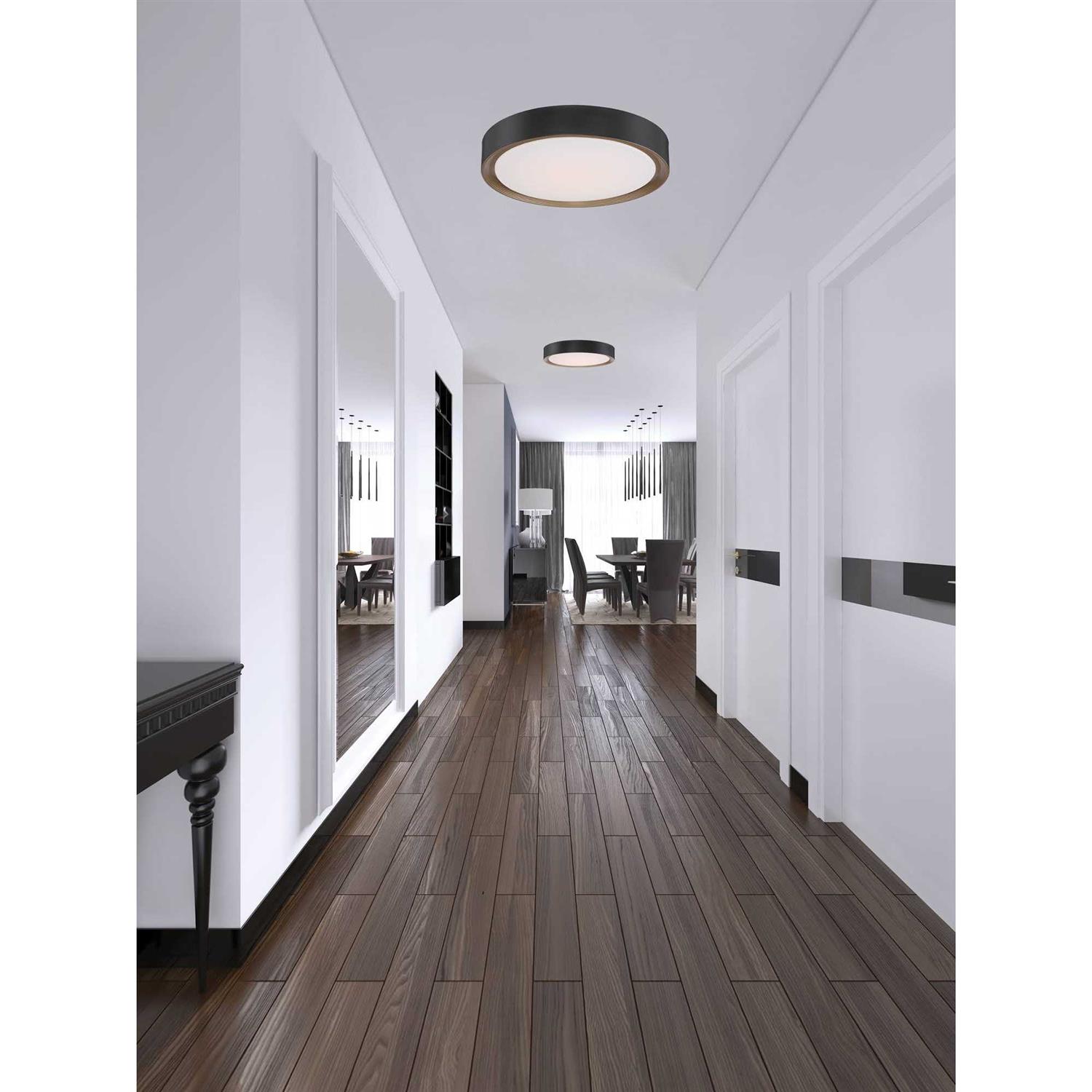 Access Lighting Malaga LED Flush Mount 49970LEDD-MBL/ACR