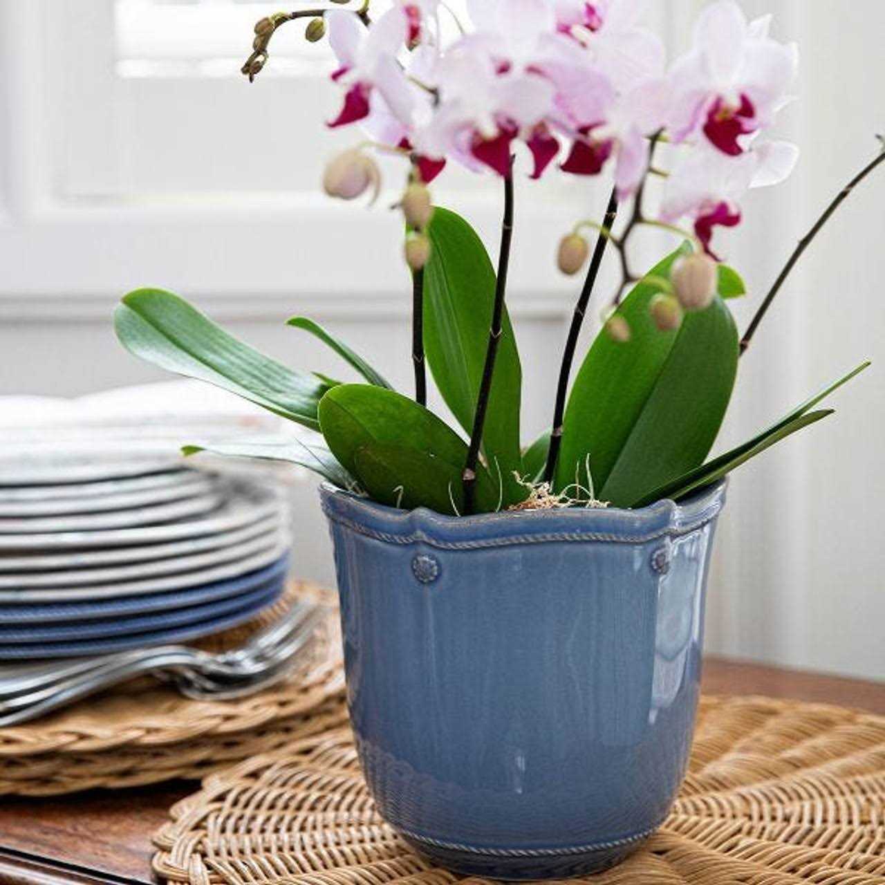 Berry & Thread Planter & Saucer Juliska