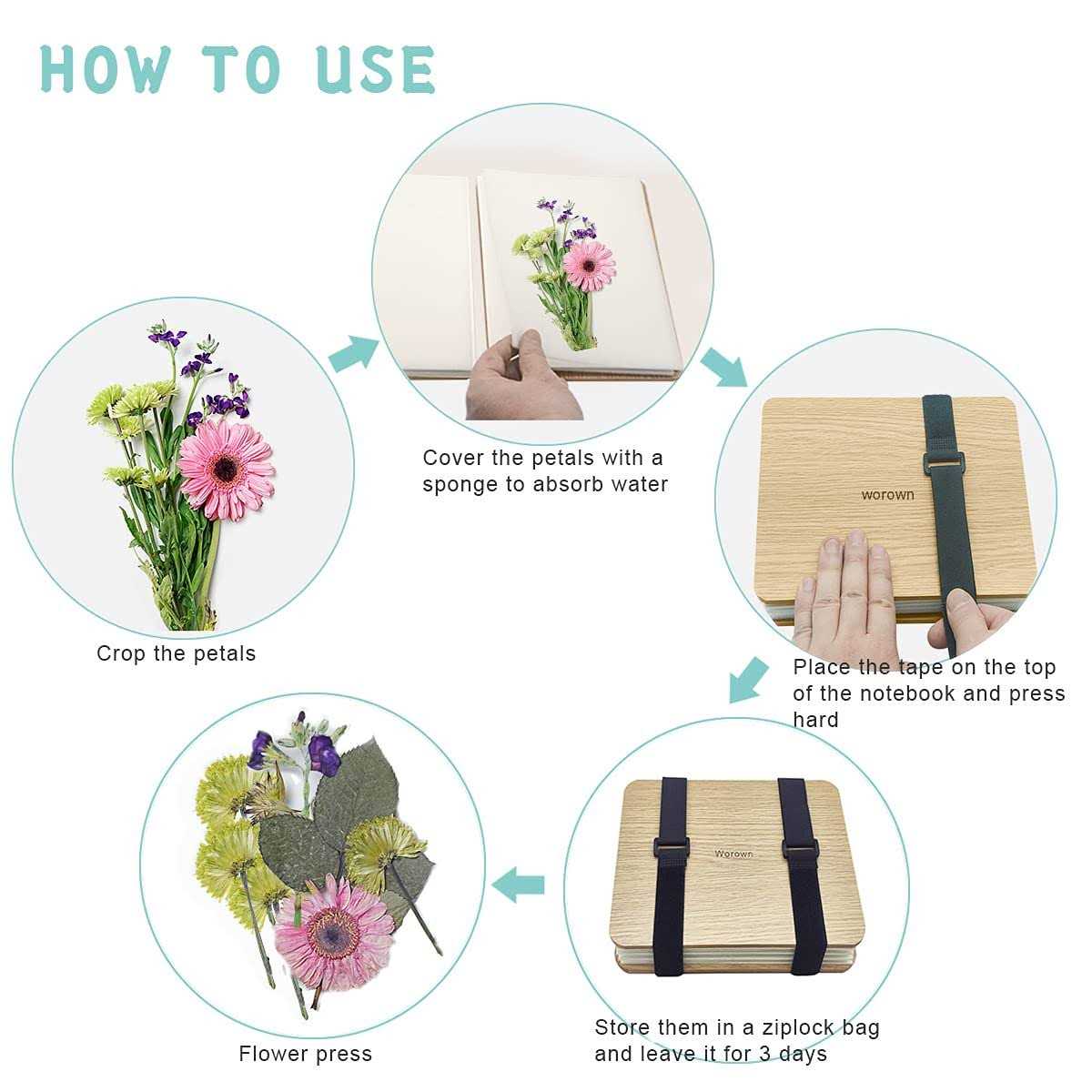 Worown Mini Flower Press Kit Leaf Press Plant Press 6 X 6 Inch 4 Layers Nature Press Kit Including Instructions