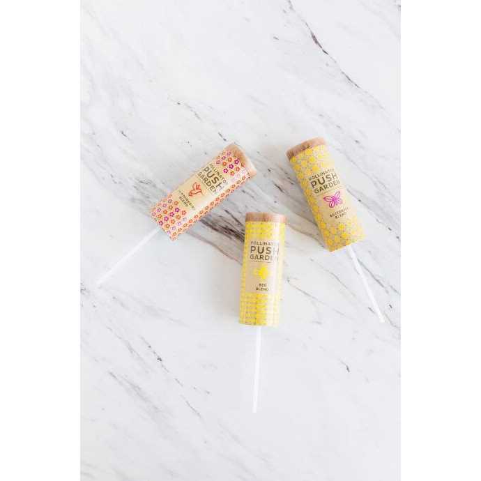 Afloral Pack of 3 – Pollinator Push Garden