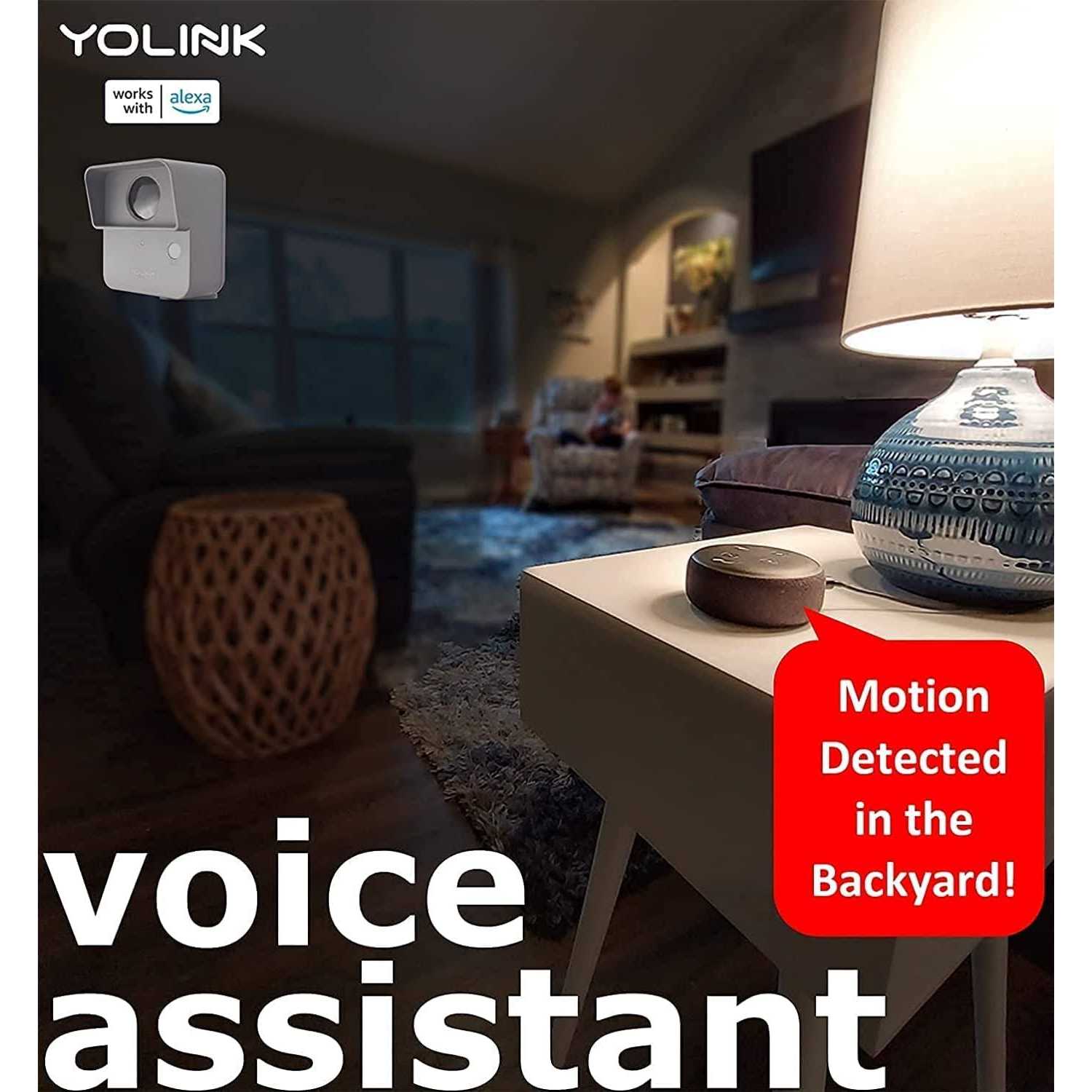 YoLink Smart Outdoor Motion Detector