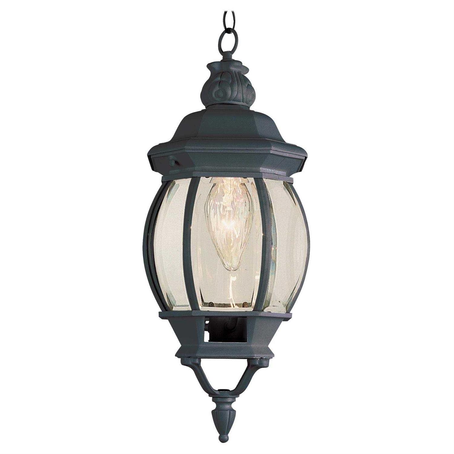 Trans Globe 4065 1 Light Hanging Lantern