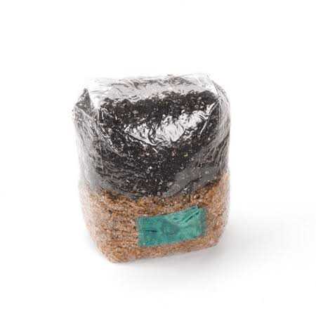 All-in-one Mushroom Grow Bag