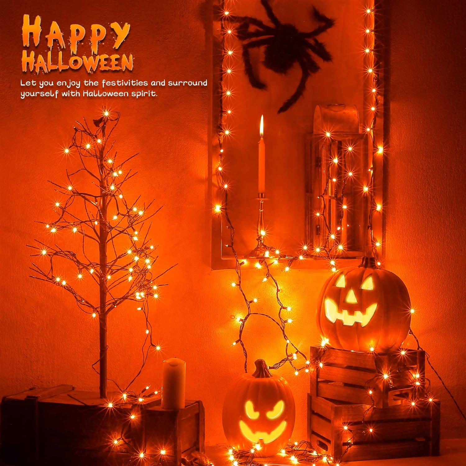 woohaha Christmas Lights Outdoor,2PACK 13ft 50-count Lights Incandescent Mini String 120v ul Lights