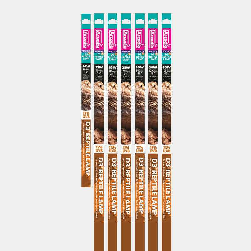 Arcadia D3+ 12% UVB T5 Bulb