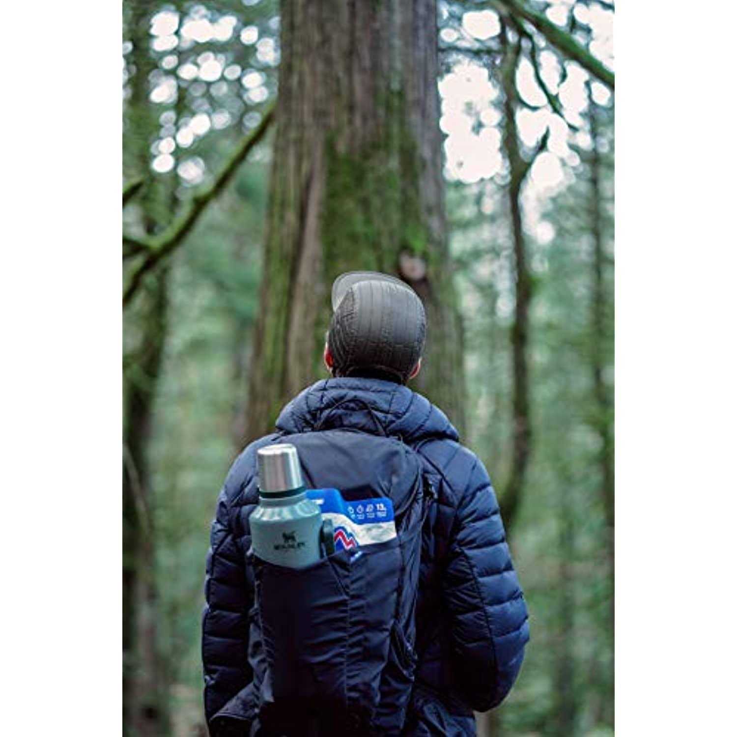 Mountain House Lasagna with Meat Sauce