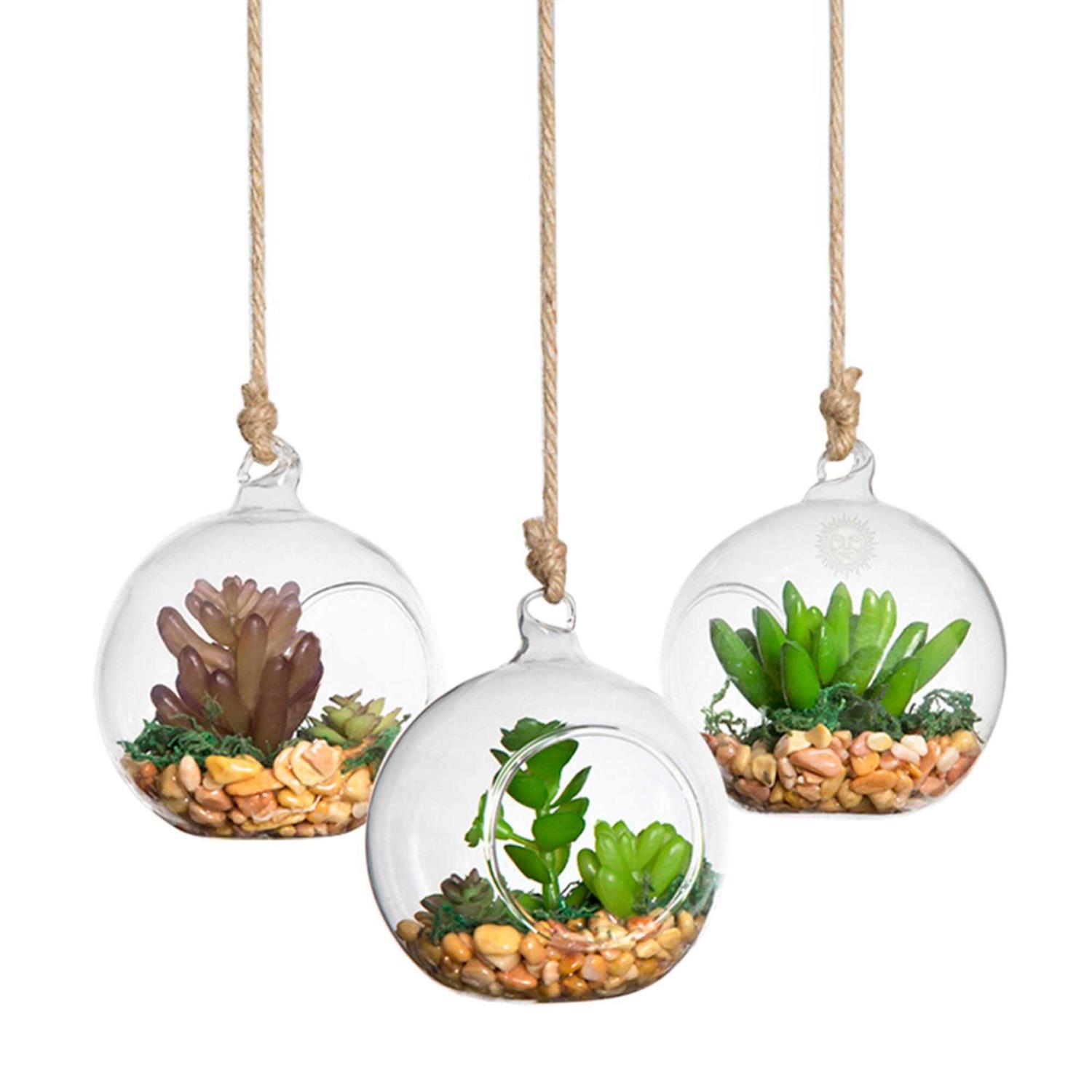 SunGrow 3 Hanging Glass Terrariums by Spherical Air Plant Orb